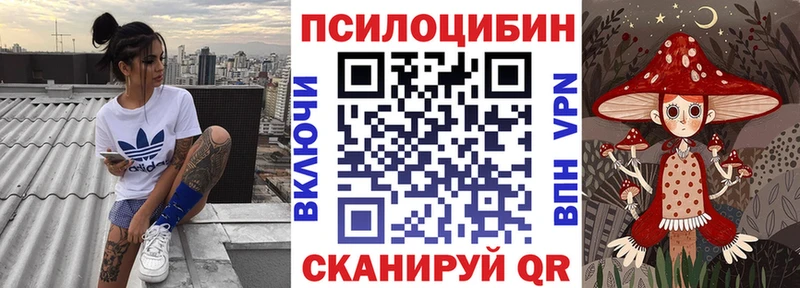 ссылка на мегу tor  Чудово  Галлюциногенные грибы Cubensis 